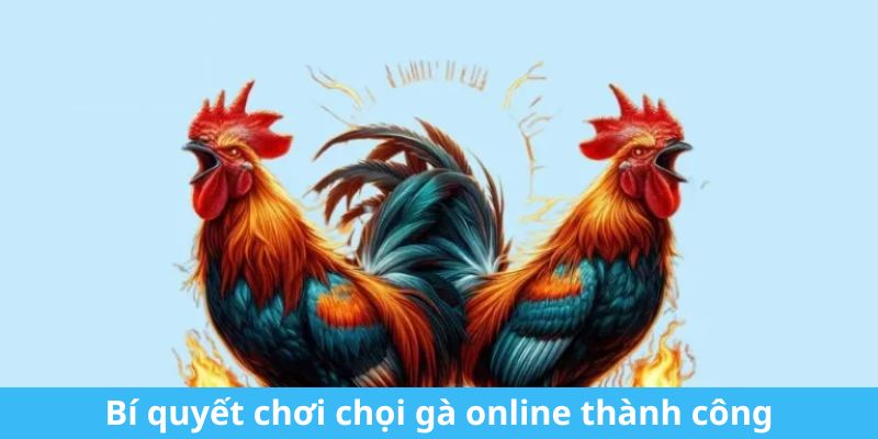 Bí quyết chơi chọi gà online thành công từ những người chuyên nghiệp đá gà 88clb