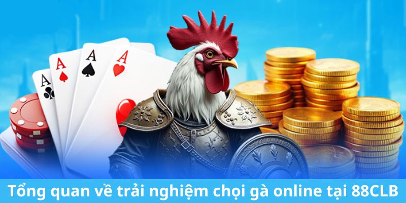 Tổng quan về trải nghiệm chọi gà online tại 88CLB