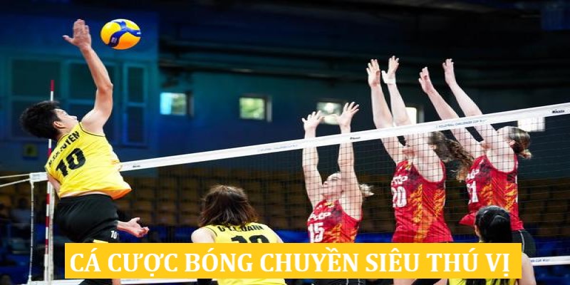 Tham gia trải nghiệm cá cược bóng chuyền tại thể thao 88CLB